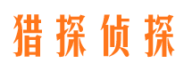 大新捉小三公司